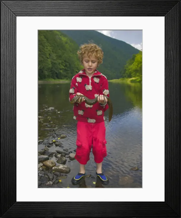 Framed Print : Picture No. 10734730 Framed Print : Picture No. 10734730