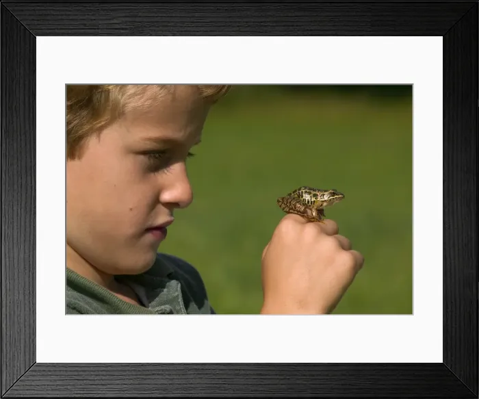 Framed Print : Picture No. 10734728 Framed Print : Picture No. 10734728