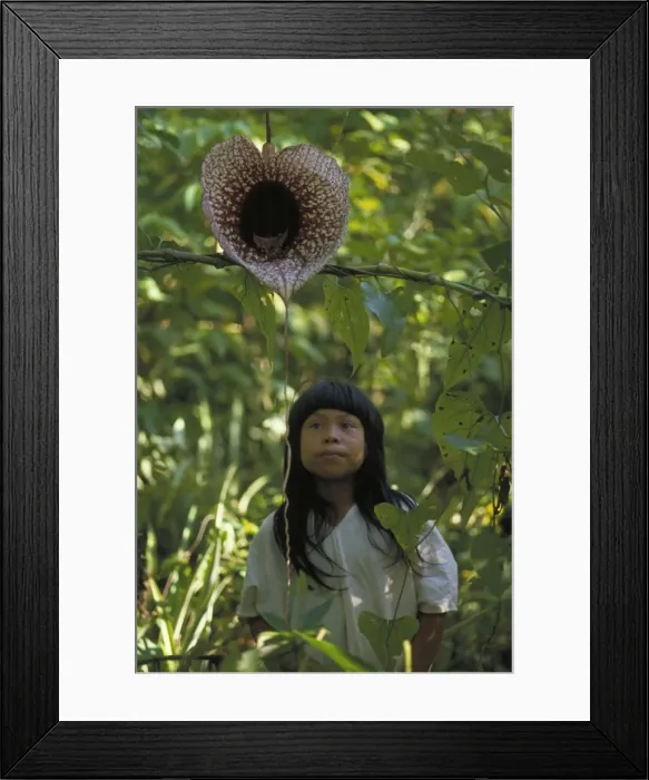 Framed Print : Picture No. 10734916 Framed Print : Picture No. 10734916