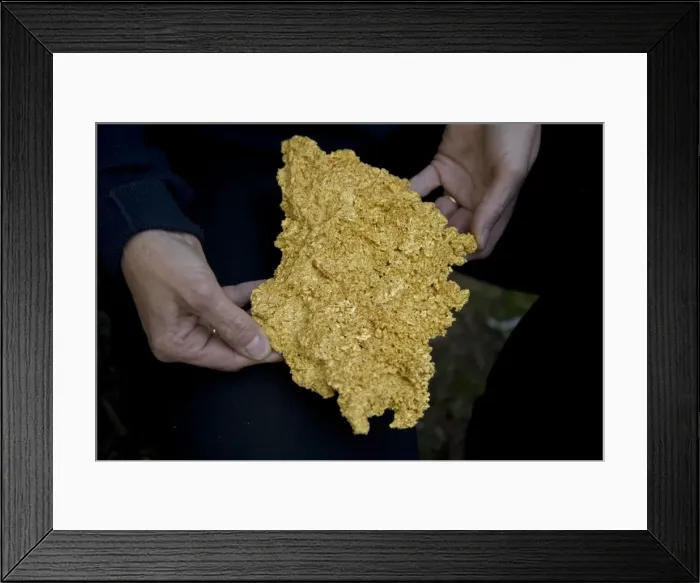Framed Print : Picture No. 10734828 Framed Print : Picture No. 10734828