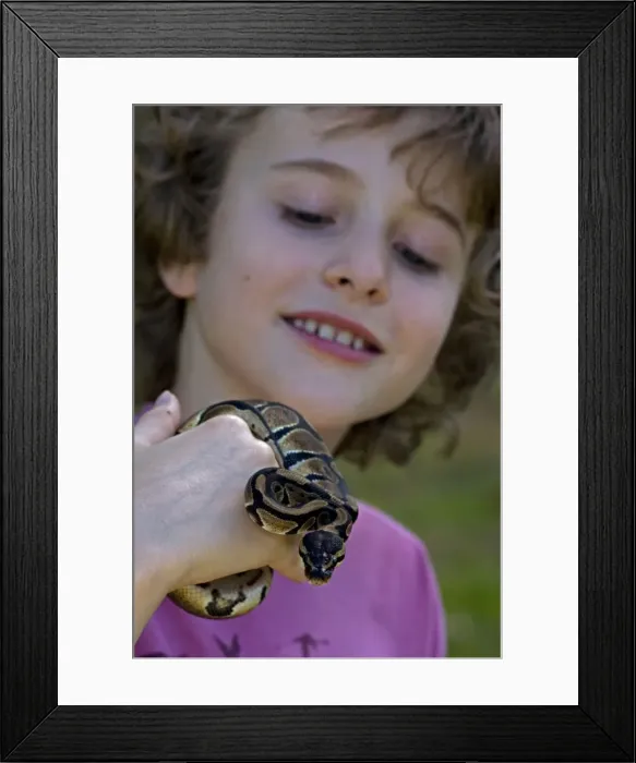 Framed Print : Picture No. 10735014 Framed Print : Picture No. 10735014