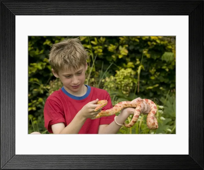 Framed Print : Picture No. 10734975 Framed Print : Picture No. 10734975