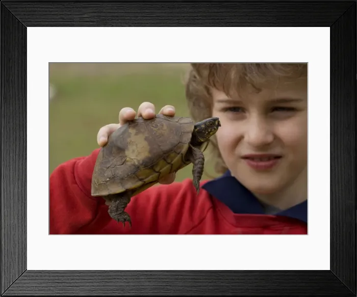 Framed Print : Picture No. 10735015