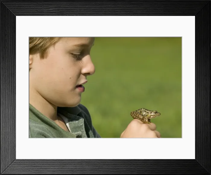 Framed Print : Picture No. 10735035 Framed Print : Picture No. 10735035