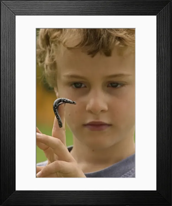 Framed Print : Picture No. 10735037 Framed Print : Picture No. 10735037