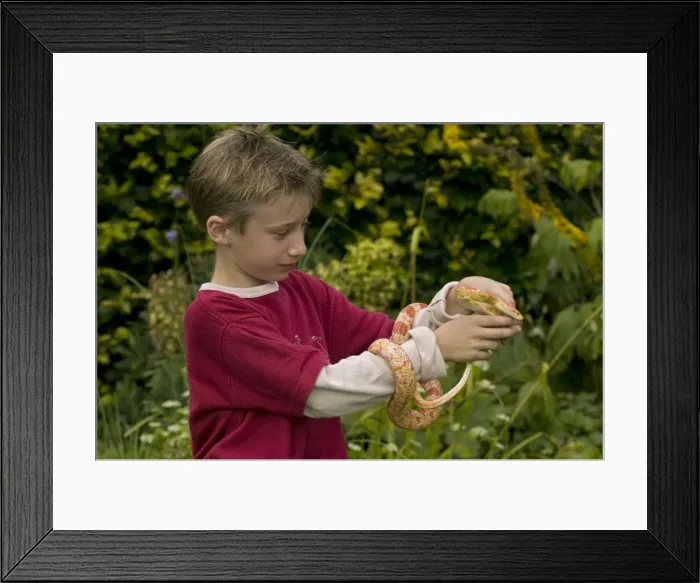 Framed Print : Picture No. 10734976