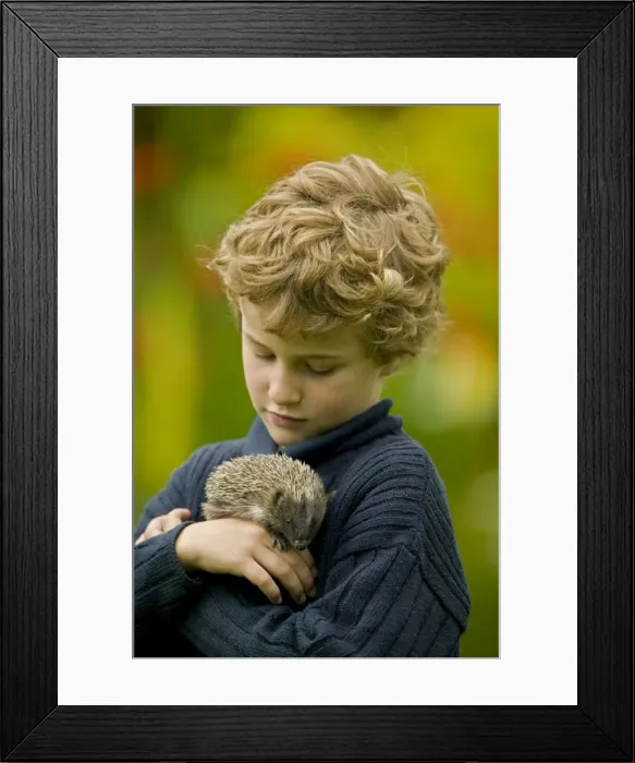 Framed Print : Picture No. 10735039 Framed Print : Picture No. 10735039