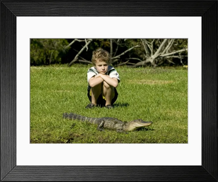 Framed Print : Picture No. 10735036 Framed Print : Picture No. 10735036
