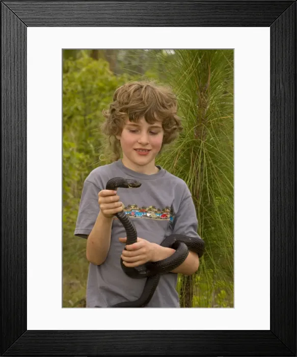Framed Print : Picture No. 10735016 Framed Print : Picture No. 10735016