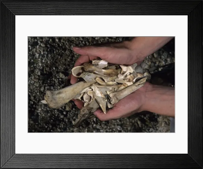 Framed Print : Picture No. 10735071 Framed Print : Picture No. 10735071