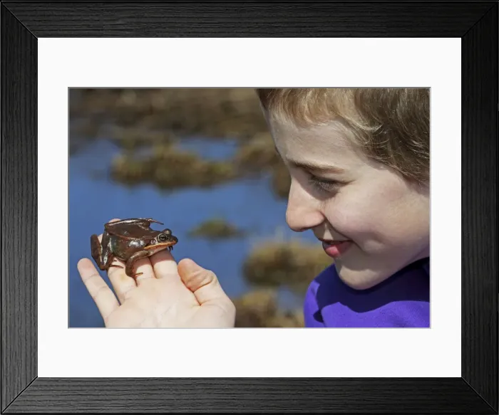 Framed Print : Picture No. 10736201 Framed Print : Picture No. 10736201