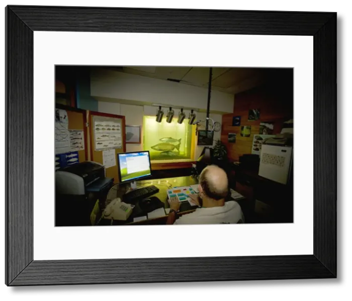 Framed Print : Picture No. 10736311 Framed Print : Picture No. 10736311