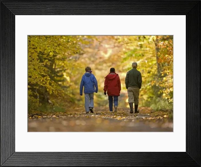 Framed Print : Picture No. 10736458 Framed Print : Picture No. 10736458