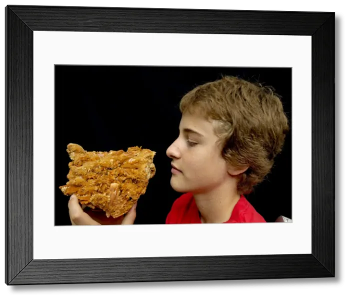 Framed Print : Picture No. 10736555