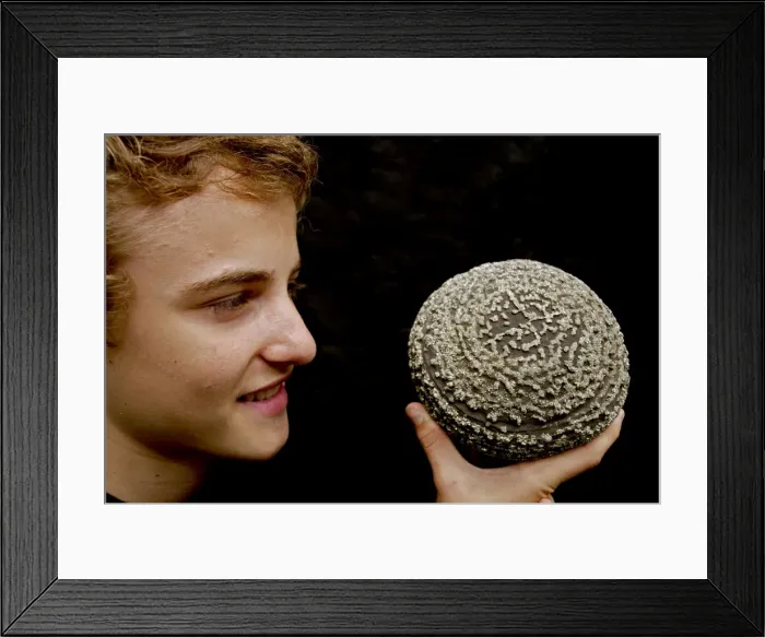 Framed Print : Picture No. 10736785 Framed Print : Picture No. 10736785