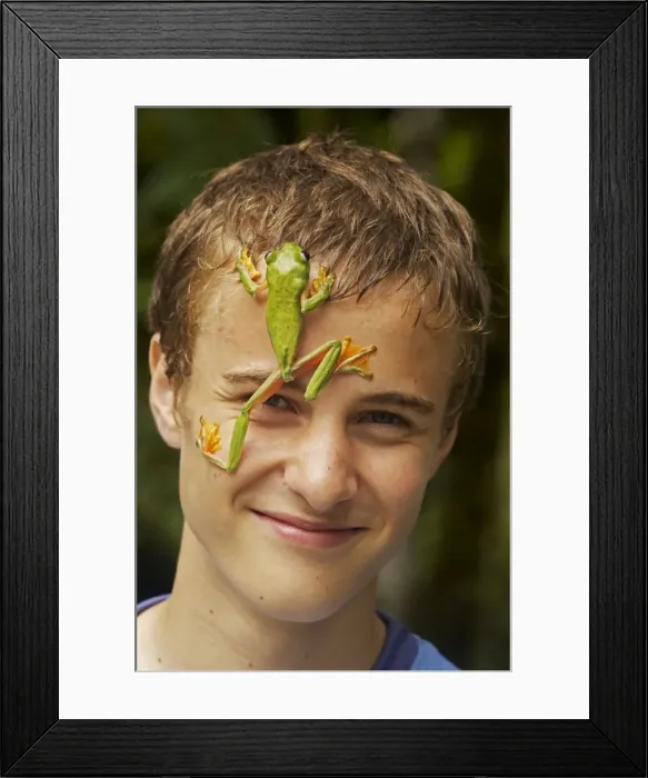Framed Print : Picture No. 10736933 Framed Print : Picture No. 10736933