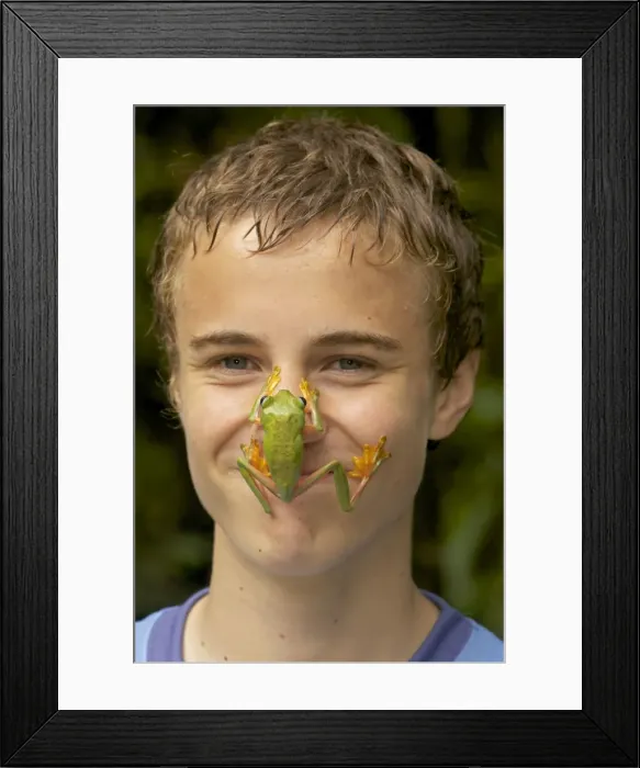Framed Print : Picture No. 10736934 Framed Print : Picture No. 10736934