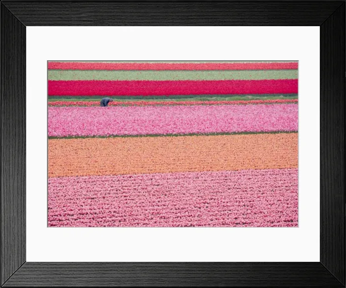 Framed Print : Picture No. 10739287 Framed Print : Picture No. 10739287