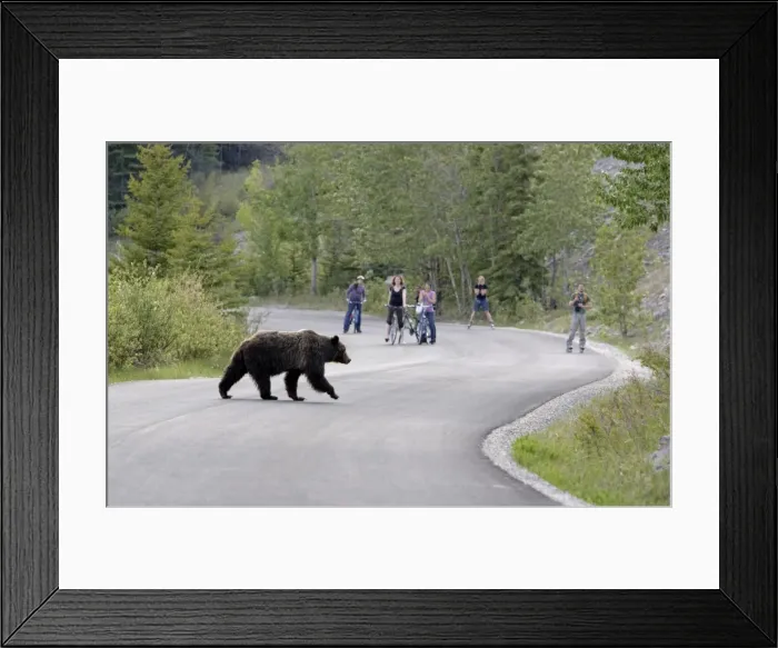 Framed Print : Picture No. 10739270 Framed Print : Picture No. 10739270