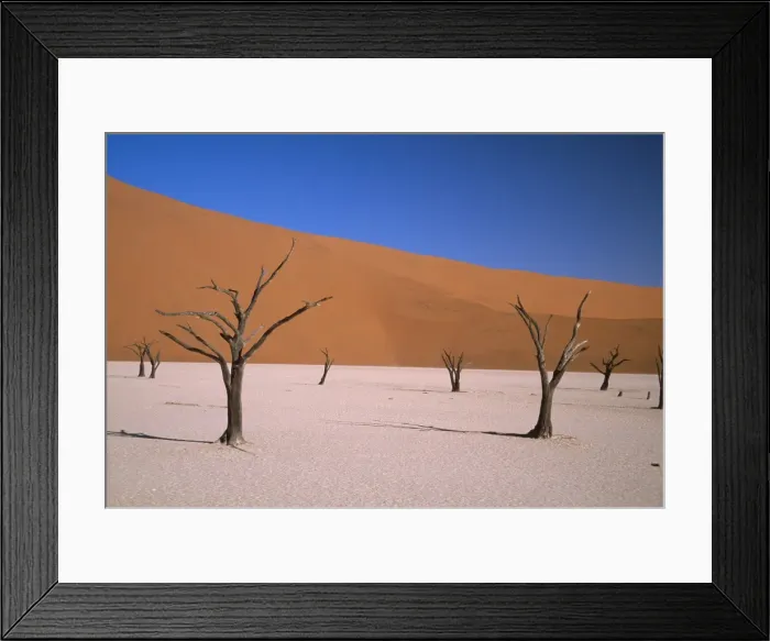Framed Print : Picture No. 10739141 Framed Print : Picture No. 10739141