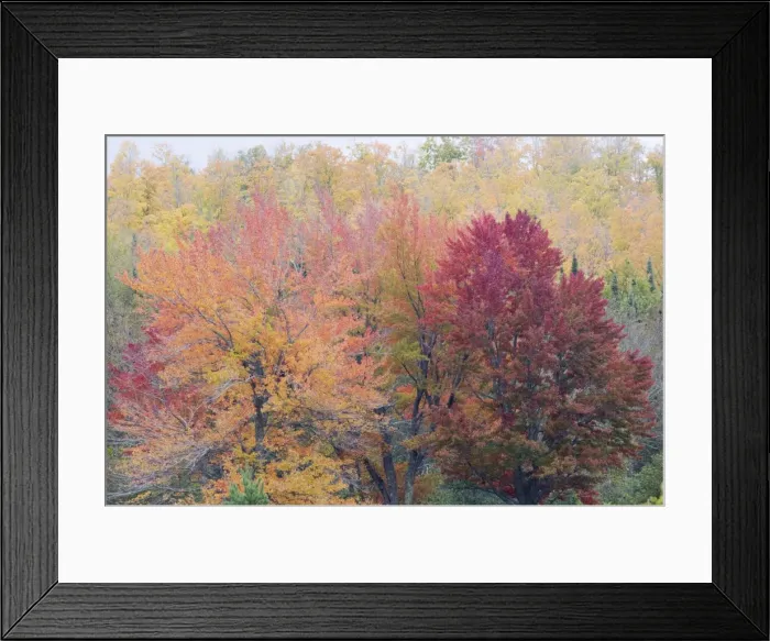 Framed Print : Picture No. 10739046 Framed Print : Picture No. 10739046