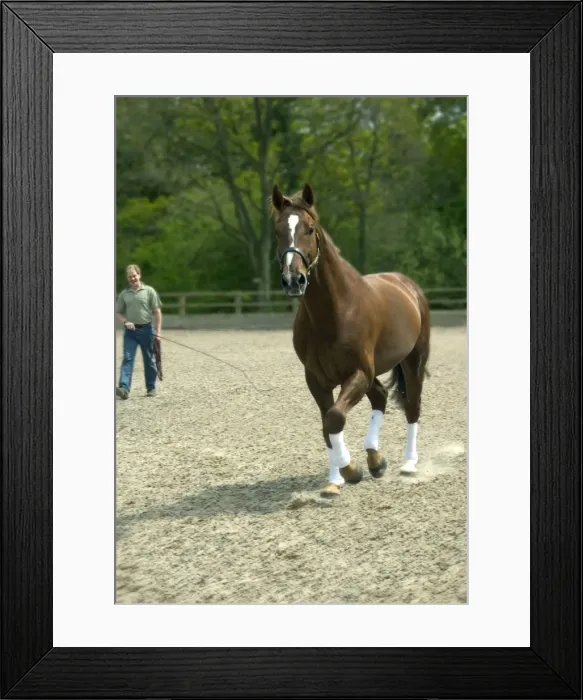Framed Print : Picture No. 10739575 Framed Print : Picture No. 10739575
