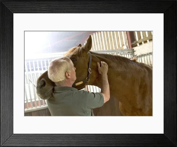 Framed Print : Picture No. 10739579 Framed Print : Picture No. 10739579
