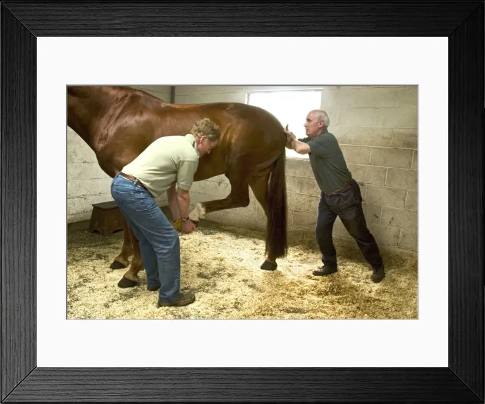 Framed Print : Picture No. 10739580