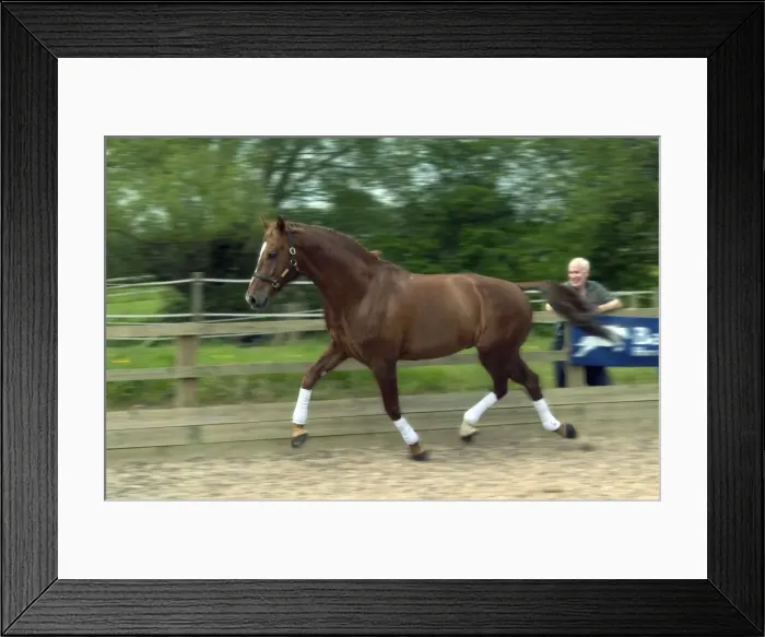 Framed Print : Picture No. 10739581