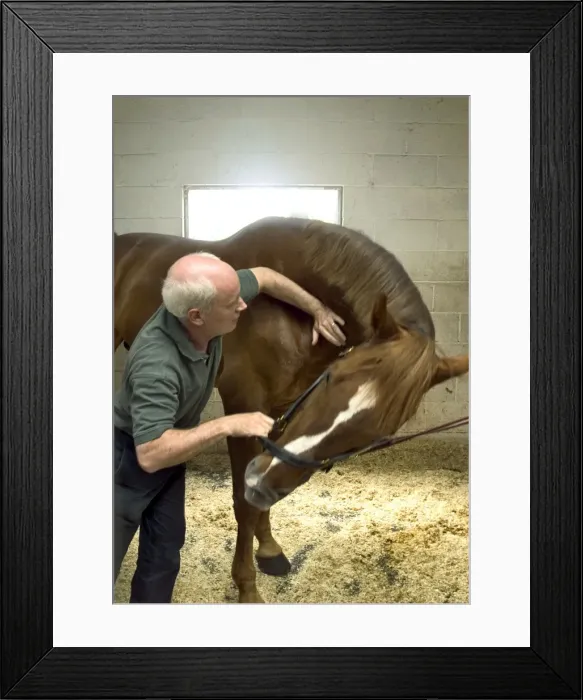 Framed Print : Picture No. 10739577