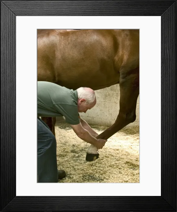 Framed Print : Picture No. 10739578 Framed Print : Picture No. 10739578