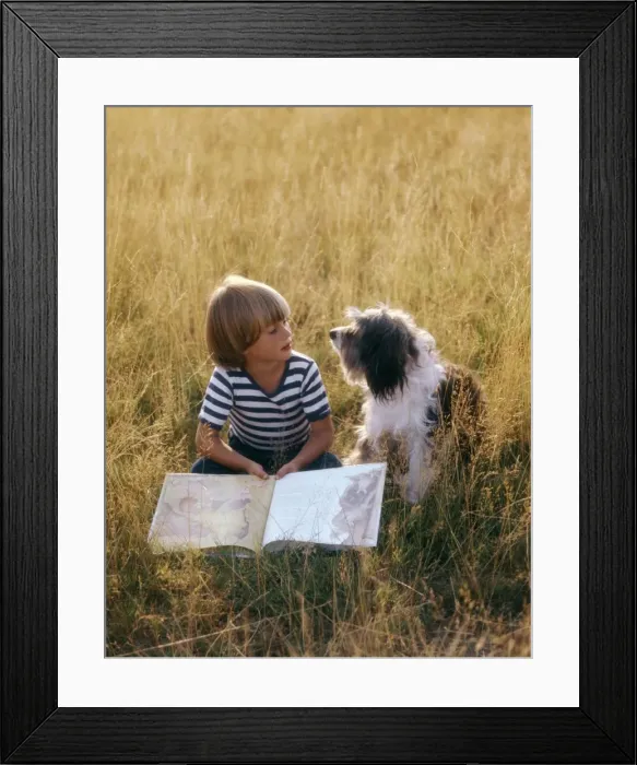 Framed Print : Picture No. 10739607 Framed Print : Picture No. 10739607