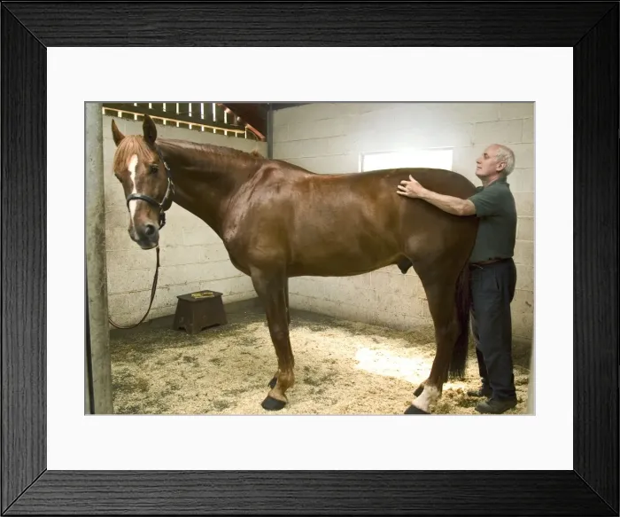 Framed Print : Picture No. 10739583