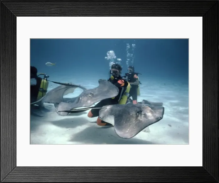 Framed Print : Picture No. 10739619 Framed Print : Picture No. 10739619