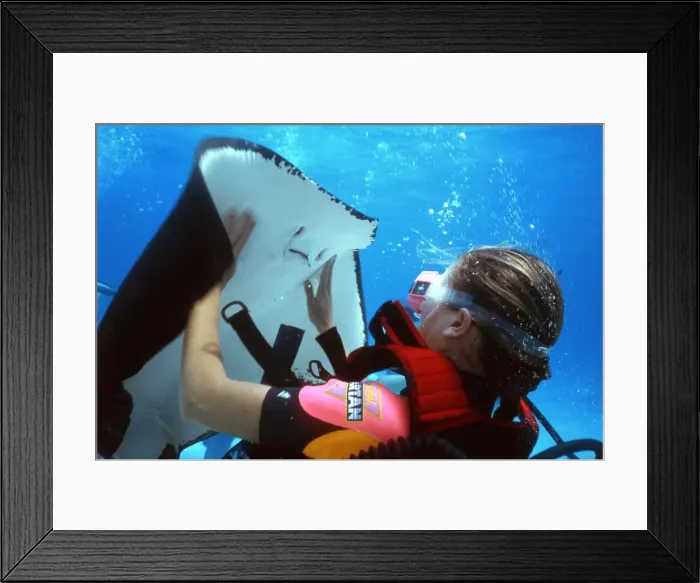 Framed Print : Picture No. 10739626 Framed Print : Picture No. 10739626