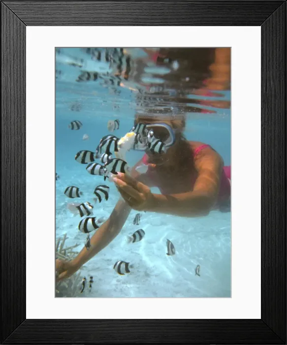 Framed Print : Picture No. 10739629 Framed Print : Picture No. 10739629