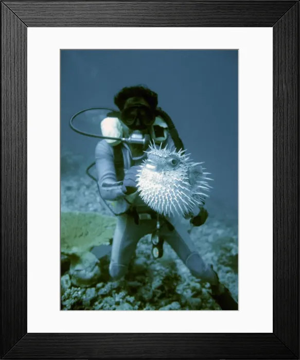 Framed Print : Picture No. 10739617 Framed Print : Picture No. 10739617