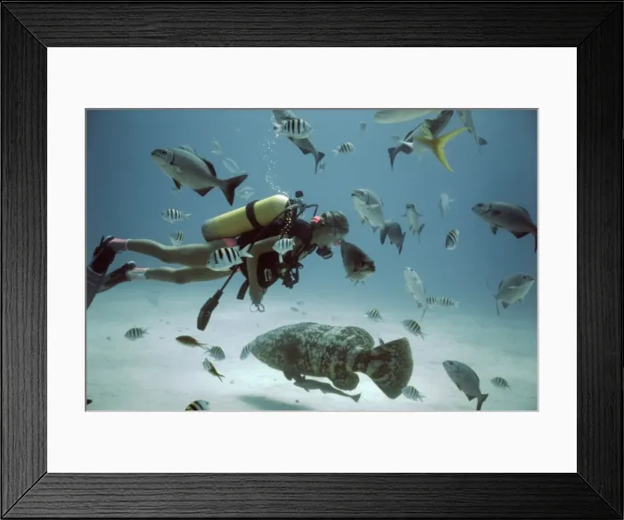 Framed Print : Picture No. 10739616 Framed Print : Picture No. 10739616