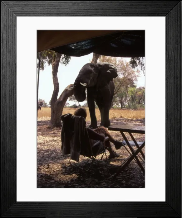 Framed Print : Picture No. 10739650 Framed Print : Picture No. 10739650