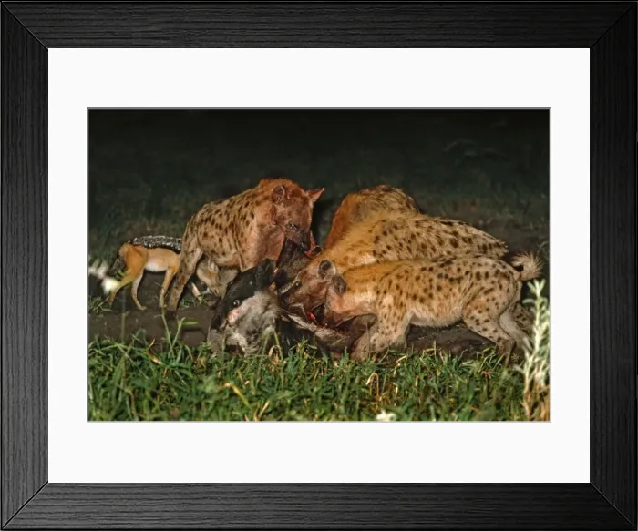 Framed Print : Picture No. 10739745 Framed Print : Picture No. 10739745