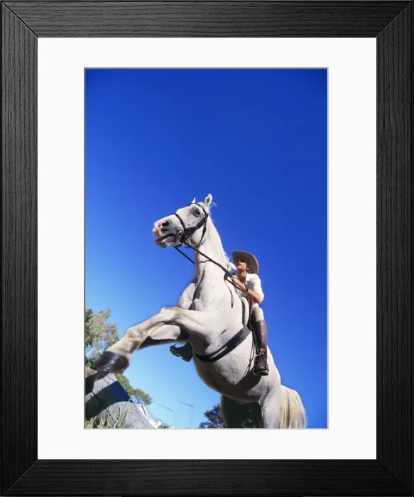 Framed Print : Picture No. 10739767 Framed Print : Picture No. 10739767