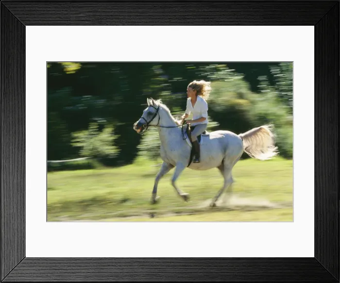 Framed Print : Picture No. 10739770 Framed Print : Picture No. 10739770