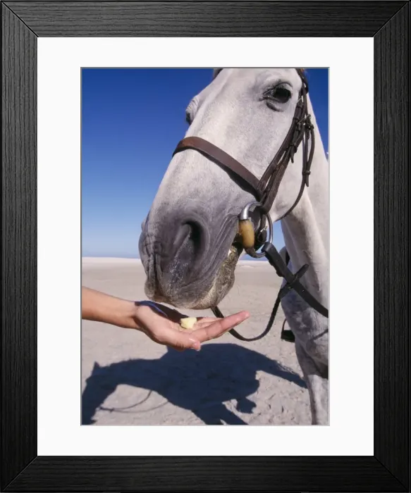 Framed Print : Picture No. 10739768 Framed Print : Picture No. 10739768