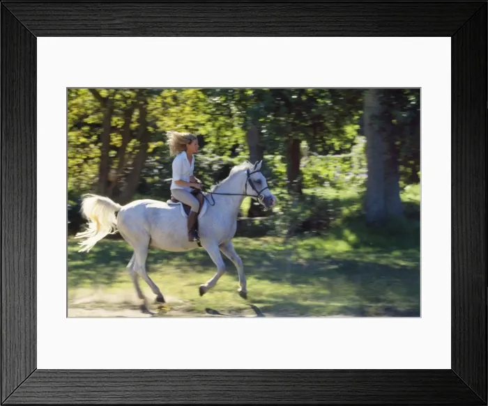 Framed Print : Picture No. 10739771 Framed Print : Picture No. 10739771