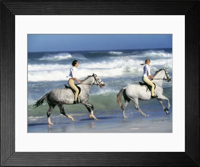 Framed Print : Picture No. 10739774 Framed Print : Picture No. 10739774
