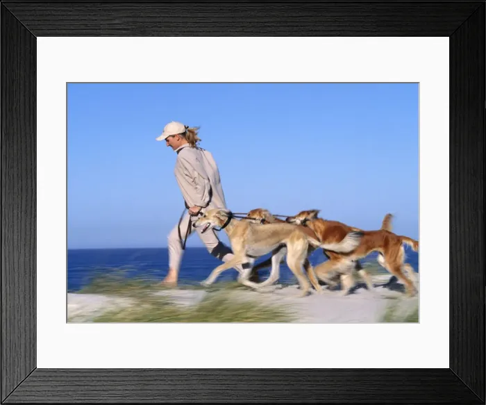 Framed Print : Picture No. 10739763 Framed Print : Picture No. 10739763