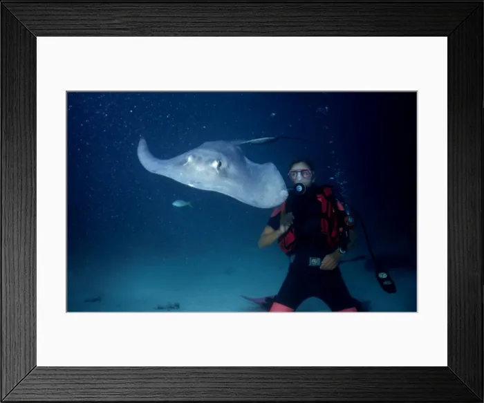 Framed Print : Picture No. 10739801 Framed Print : Picture No. 10739801