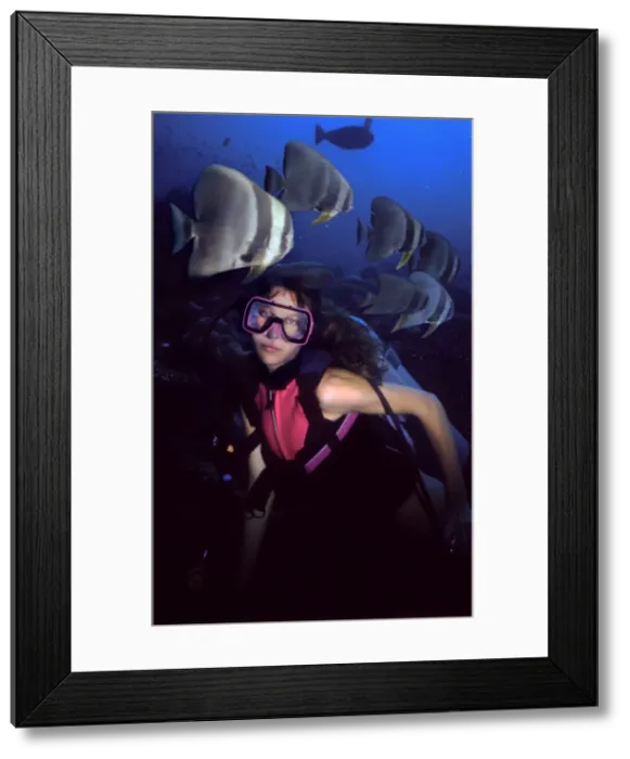 Framed Print : Picture No. 10739811 Framed Print : Picture No. 10739811
