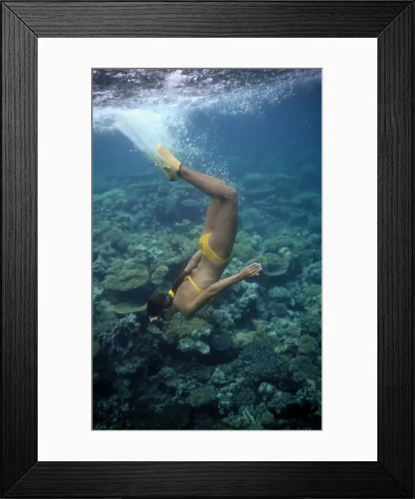 Framed Print : Picture No. 10739832 Framed Print : Picture No. 10739832