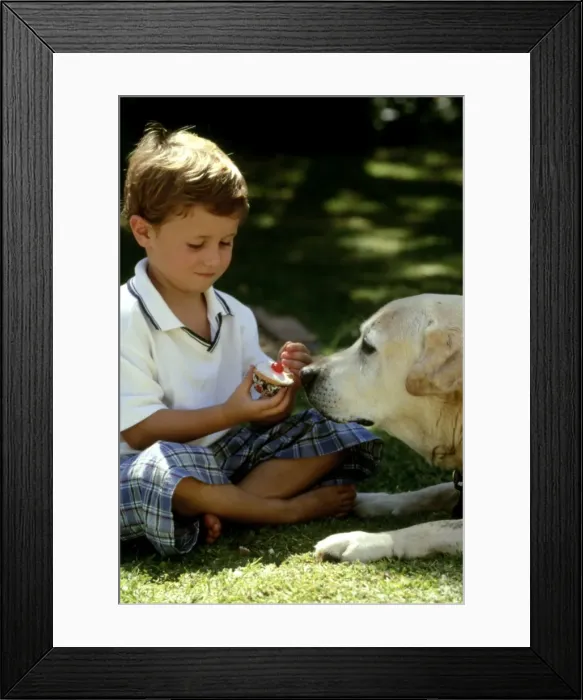 Framed Print : Picture No. 10739835 Framed Print : Picture No. 10739835